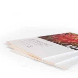 This image for Image Layouts addon