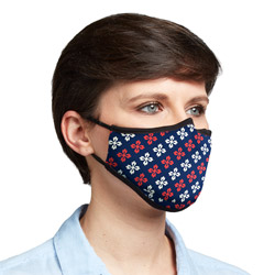 This image for Image Layouts addon