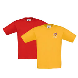 This image for Image Layouts addon